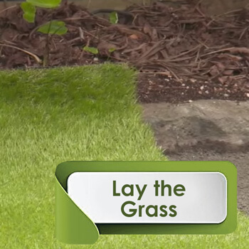 lay the grass
