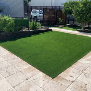 eastcoast plush synthetic grass belmont nsw